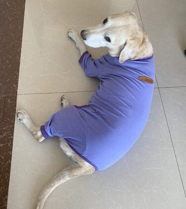 Піжама для собак великих порід: захист суглобів, анти-шерсть, фіолетовий колір