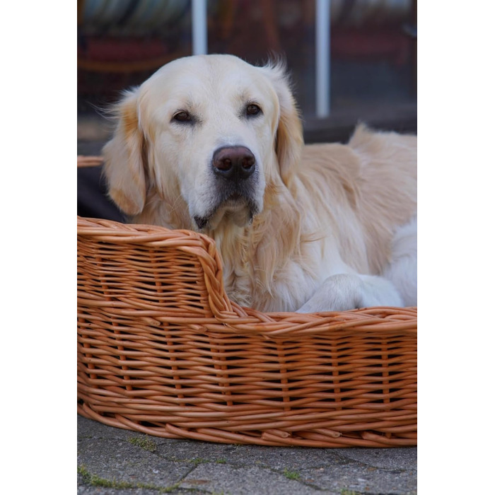 Плетений корзинка для собак та котів з подушкою, овальна, 75x57x19 см