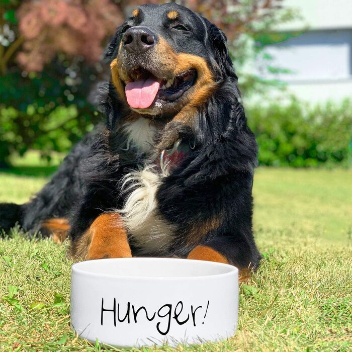 Керамічна годівниця для собак «Hunger» - миска для корму та води, 1.300 мл