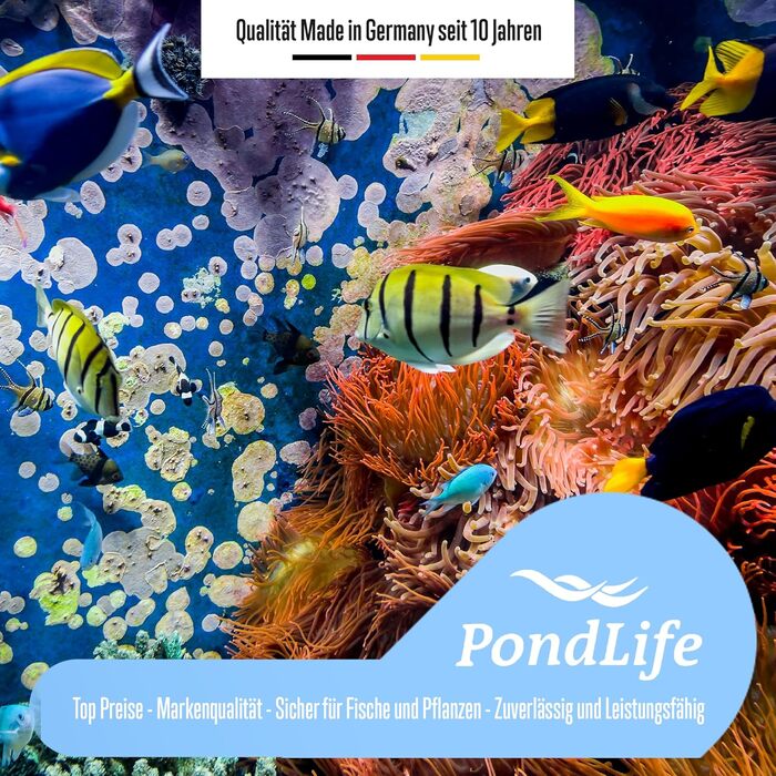 Акваріум зі скла для риб і черепах Pondlife 30×20×20 см, для прісної та солоної води, тераріум