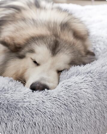 Кругле ліжко для собак та котів Feandrea з м'яким плюшем, діаметр 140 см, Ombré-Сірий колір, знімний наповнювач