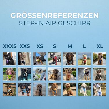 Шлея для собак Voyager Step-In Air, Best Pet Supplies, сіточка, всепогодна, для малих і середніх порід, чорна, розмір S (груди 37-40 см)