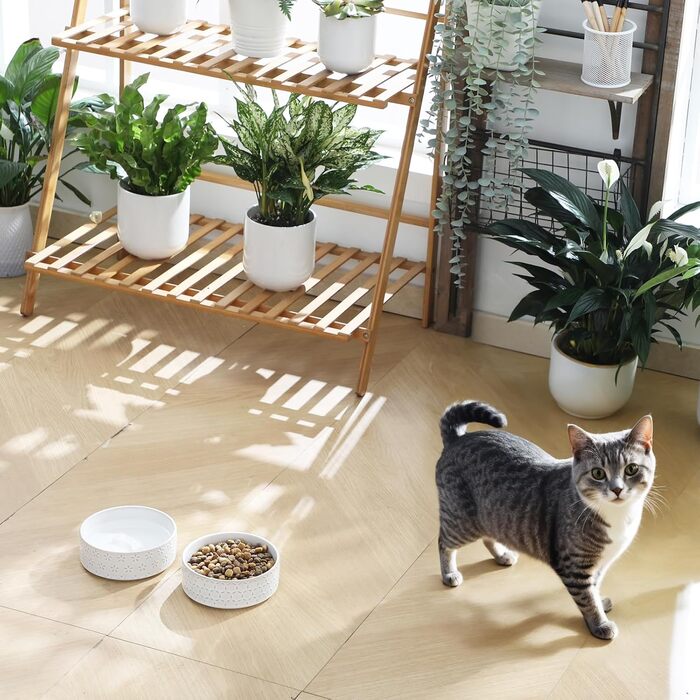 Миска для собак Malacasa з підставкою з горіхового дерева, 450 мл, подвійна миска для собак та котів, для корму та води, неслизька підставка, дизайн у стилі квітки та соти (450 мл, 1 шт.)