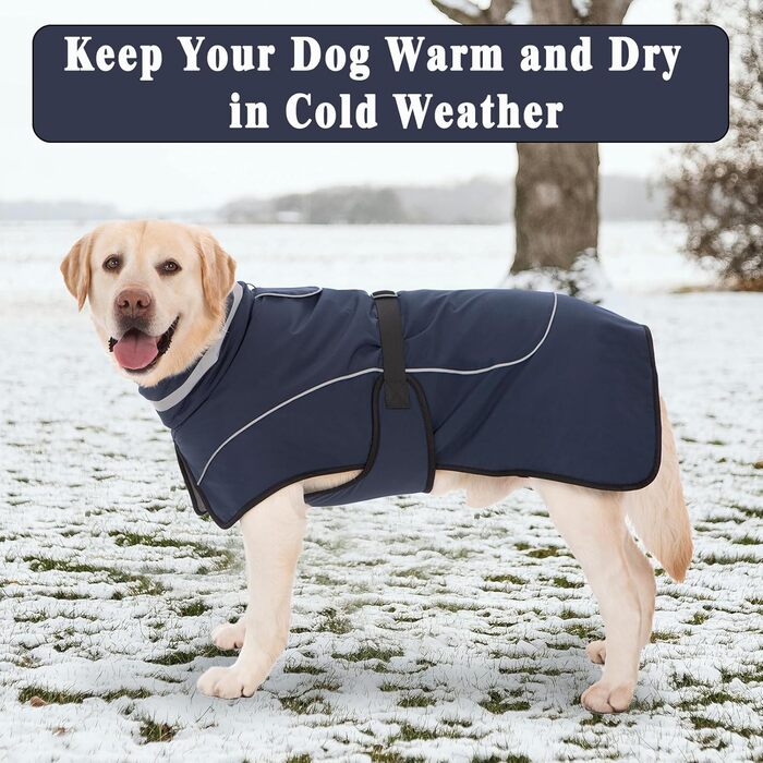 Водонепроникний зимовий одяг для собак: теплий пуховик, куртка, флісовий светр, одяг для собак з коміром з хутром, світловідбиваючий, для малих, середніх та великих собак, водонепроникний, колір морської хвилі (M)