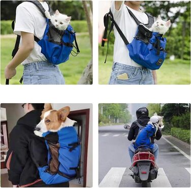 Рюкзак для собак Manon Rosa, регульований, зручний, для подорожей, хаджінг, кемпінг, для маленьких, середніх собак, котів, цуценят (середній, білий) (Medium, Blue)