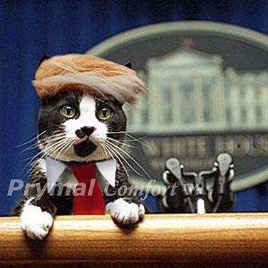 Костюм на Хелловін для кота/собаки: Трамп, жовтого та червоного кольорів