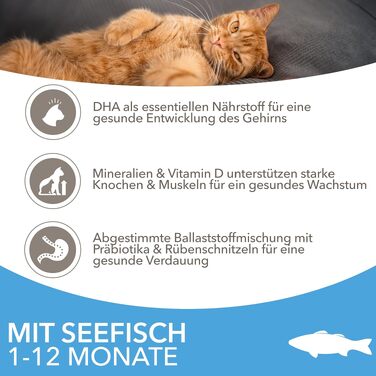 Сухий корм для кошенят IAMS з морською рибою, для віку від 1 до 12 місяців, 3 кг