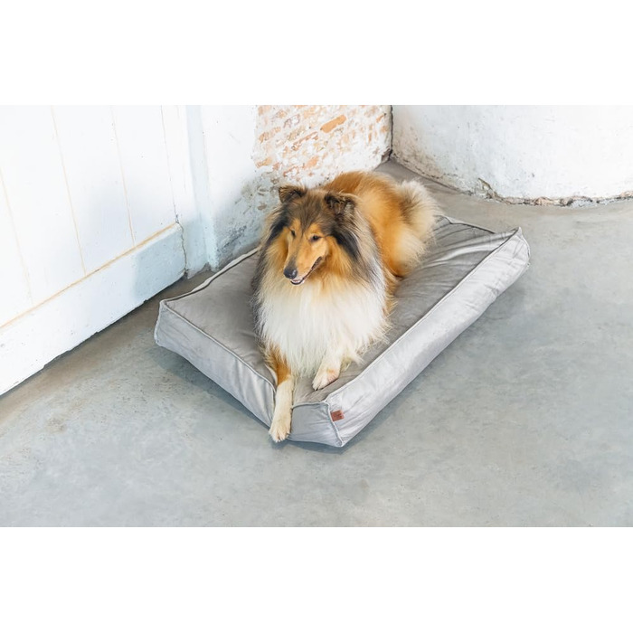 Подушка для собак Lotte Nalino, велюр, сіра, 100x70x15 см