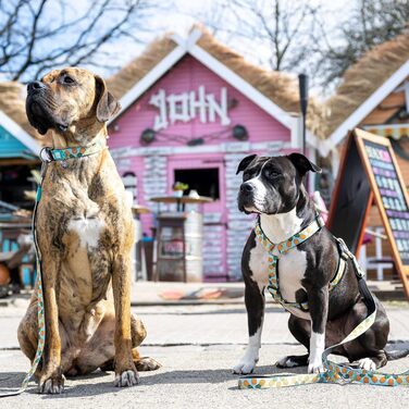 Шлея для собак Max & Molly Sweet Pineapple, розмір L