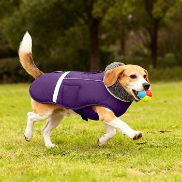 Зимова куртка для собак з відбиваючими елементами, тепла флісова, для активного відпочинку (L, Purple)