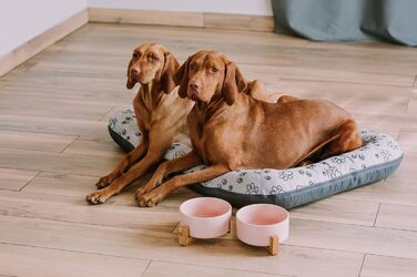 Двомісна керамічна годівниця для собак та котів з дерев'яною підставкою, рожева, 2x400 мл