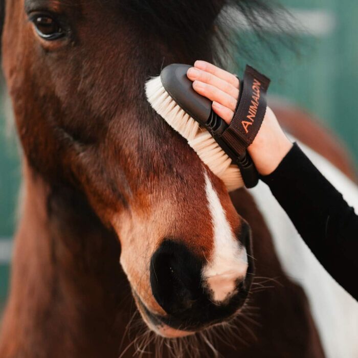 Глянцева щітка для коней Animalon CareFlex з козячої шерсті, гнучка щітка для обличчя та блиску з липучкою