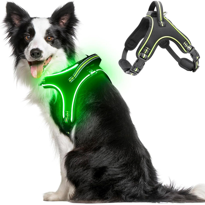 Світлодіодне обіднє світловідбиваючий нашийник для собак з ручкою, перезаряджається, для безпеки вночі, середніх та маленьких собак (L, Зелений)