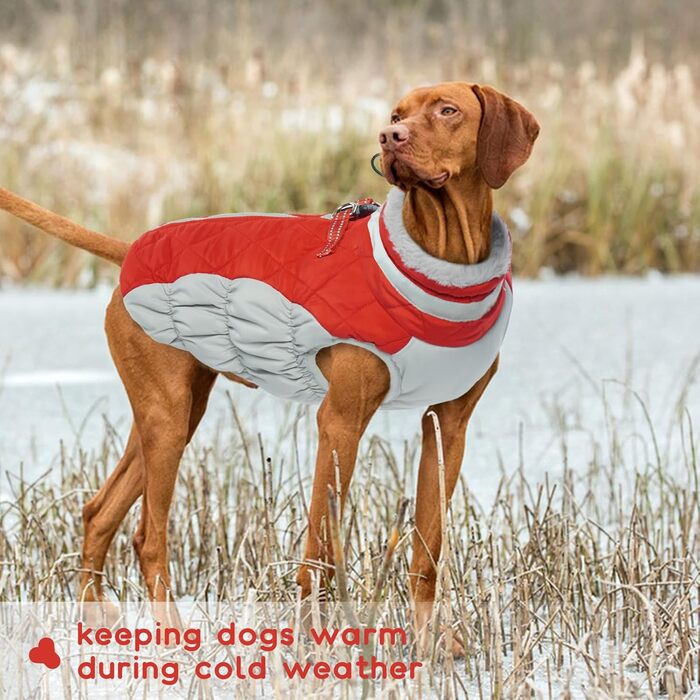 Водонепроникний зимовий теплий одяг для собак: куртка, жилет, пуховик, светр з кільцями D (червоний, 2XL) XXL Червоний