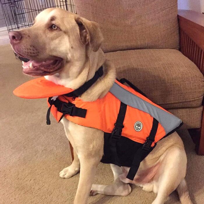 Жилет рятувальний для собак VIVAGLORY з регулюванням плавучості та світловідбиваючими елементами