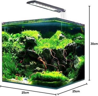 Нанотанк Amtra System 20, акваріум 18 л з LED освітленням і фільтром, скло, 25x25x30 см, комплект