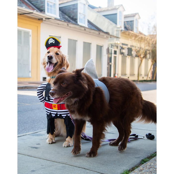 Костюм акули для собак Pet Krewe | Вечірній костюм для собак, святкування дня народження, національного дня котів, Хелловін | Для маленьких та великих собак