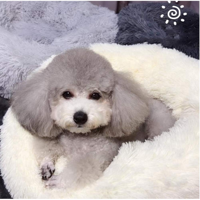 Кругле ліжко для собак і котів у вигляді пончика, м'яке та миється, бежеве (60x60 см)