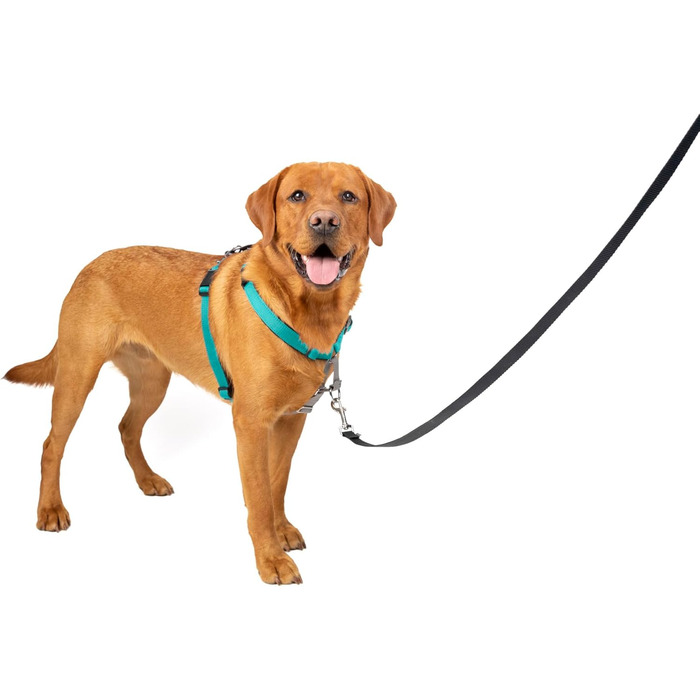 Шлея для собак PetSafe 3-в-1, анти-тягова, з автокріпленням, рефлекторами, ручкою, розмір L, чорна/синя/фіолетова