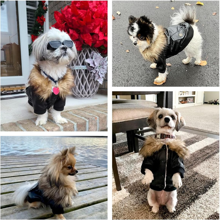 Теплий зимовий одяг для собак: флісова куртка-жакет для малих та середніх собак, M