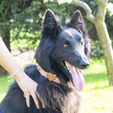 Нашийник для собак Pettsie з серцем та браслетом дружби, регульовані розміри S та M, зручний дизайнерський льон, міцний та довговічний, чудовий подарунок для любителів собак (35,6 - 50,8 см (M), Червоний)