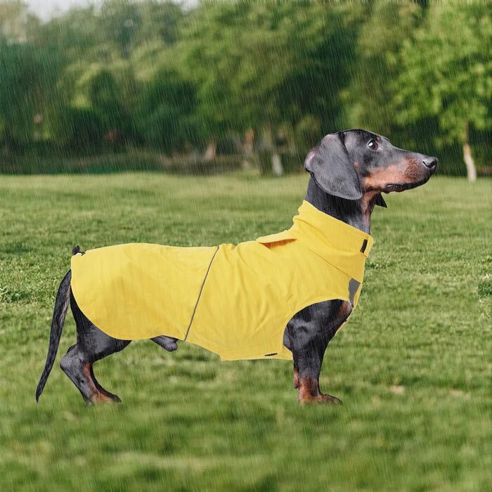 Водонепроникний дощовик для собак Morezi з відбиваючими смугами та захистом живота - Легко одягається (липучка) - для Такс та Коргі - Жовтий - XL X-Large (Обхват грудей: 55-58 см)