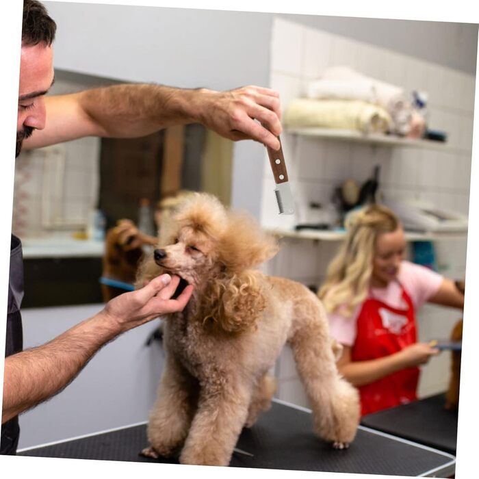 Набір для видалення шерсті домашніх тварин BESPORTBLE: широка щітка для вичісування та щітка для видалення шерсті