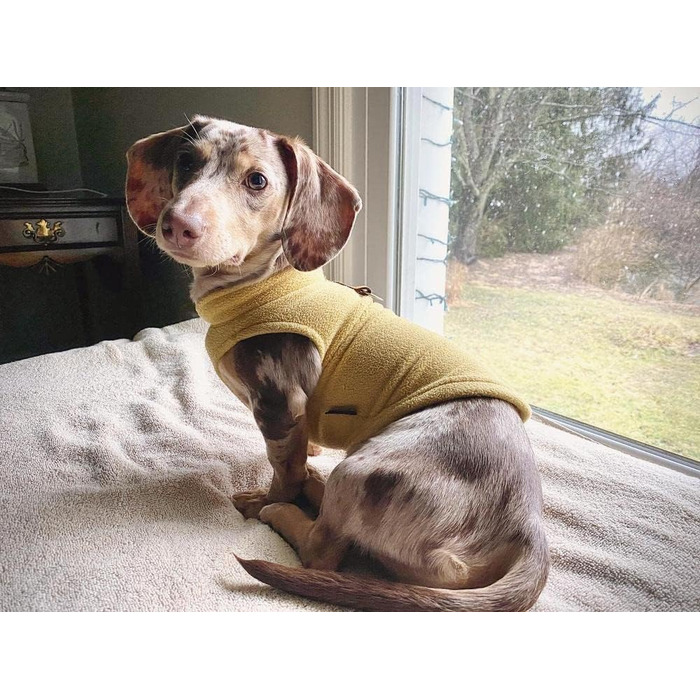 Тепла жилетка для собак Gooby з кільцем, рожевого кольору, розмір L, для маленьких собак, дівчаток або хлопчиків. Зручна флісова жилетка-куртка для собак, теплий зимовий одяг.