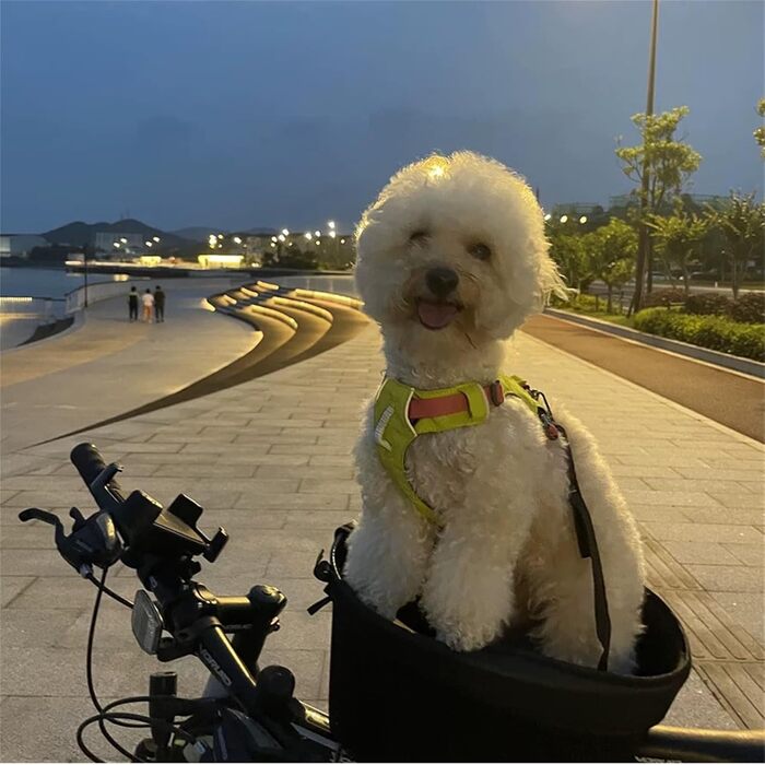 Фарбований кошик для собак на велосипед до 7.5 кг, 39 × 23 × 25 см, водонепроникний, знімний, дихаючий, для собак та котів