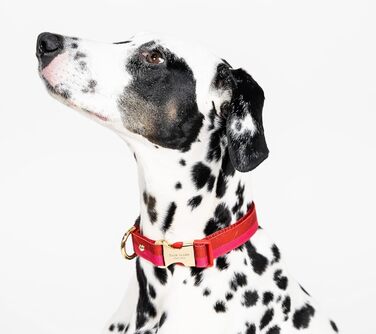 Нашийник для собак Kate Spade New York, регульований, 39,4-61 см, з золотою металевою пряжкою, для середніх і великих порід, червоно-рожевий