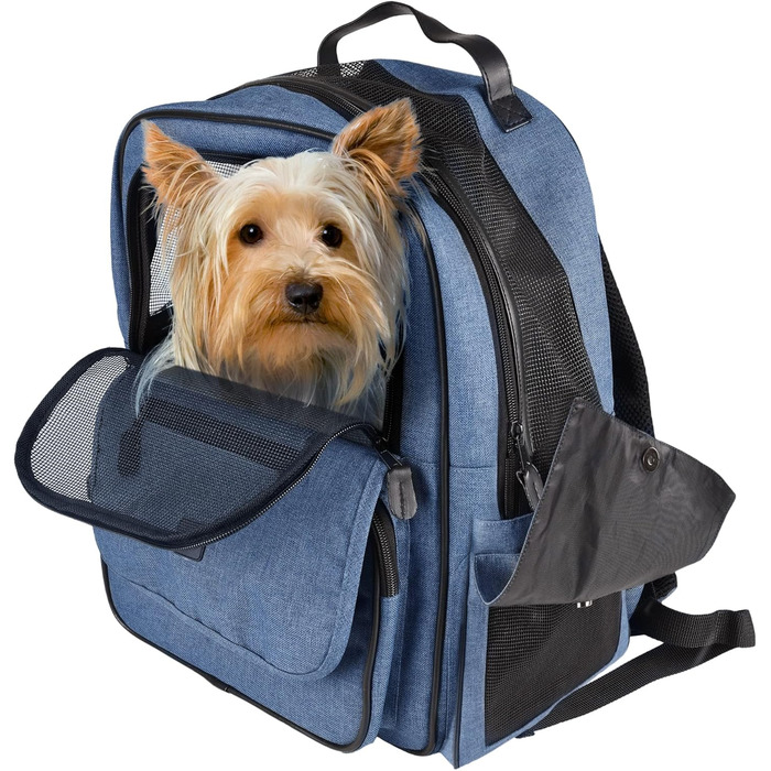 Рюкзак для собак Hunderucksack Wiro Зелений – 40x25x41 см – поліестер, посилена спинка, знімний піддон, страховка, нагрудний ремінь, кріплення для авторемня, Trolley-fix Зелений (Блакитний, 40x25x41CM (Пакети з 1))