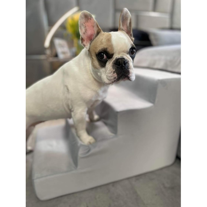 Сходинка для собак Velinda з 4 сходинками, для котів, для домашніх тварин, допомога у підйомі, з пінопласту (колір: кремовий)