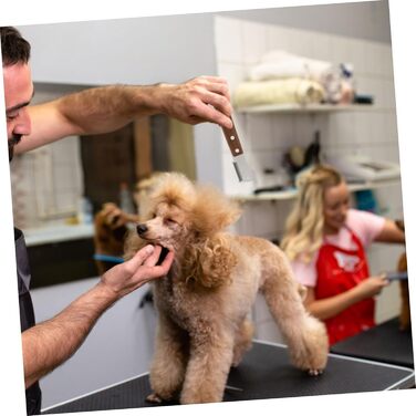 Набір щіток для грумінгу собак Kisangel: 2 шт. для догляду за шерстю, видалення ковтунів. Підходить для собак з довгою та середньою шерстю. Ергономічна ручка з дерева, професійний інструмент.