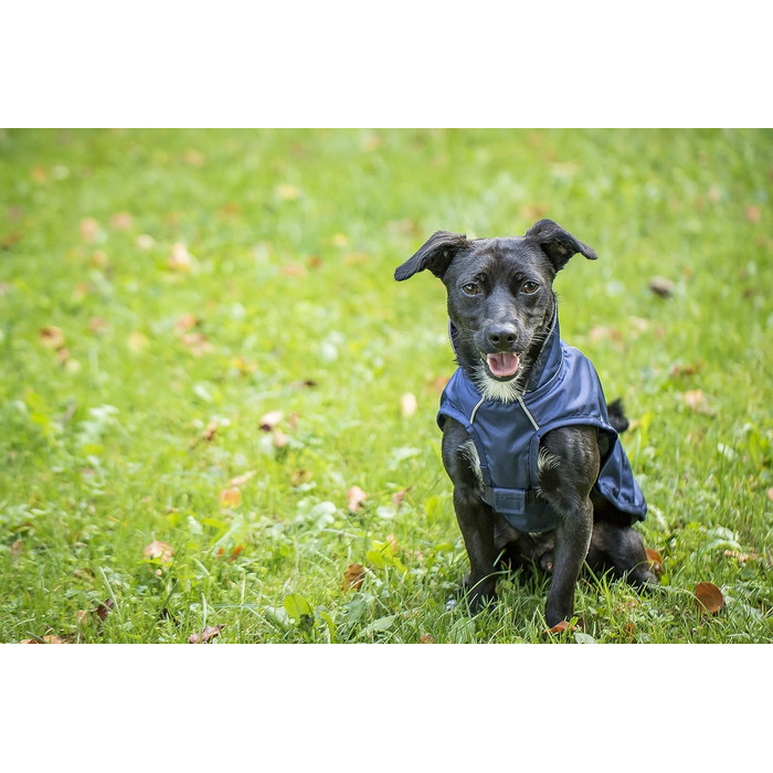 Чіара Честер: Перехідна куртка, спортивна, водонепроникна, з регулюванням, для спорту (XS, Navy Blue)