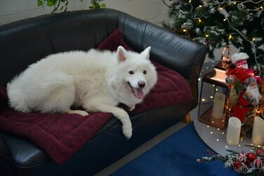 М'яка ковдра для собак та котів Raikou з плюшевою подушкою, 60x40 см, антиковзаюча, миється