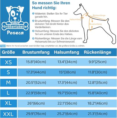 Водонепроникний зимовий костюм для собак XL, світло-блакитний: теплий, з нашийником, світловідбиваючий, на блискавці