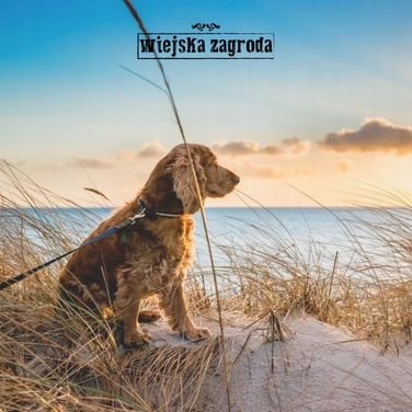Сухий корм Wiejska Zagroda з лососем, 9 кг