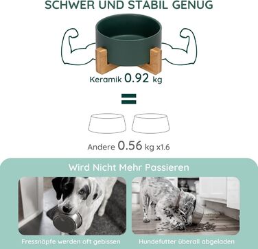 Миска для собак та котів SpunkyJunky з кераміки, 850 мл, зелена