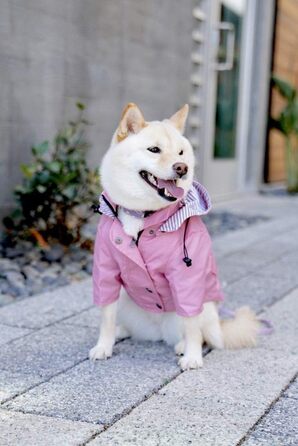 Дощовик для собак Ellie Dog Wear з блискавкою, кишенями та світловідбивачами, знімний капюшон, розмір M, преміум якість