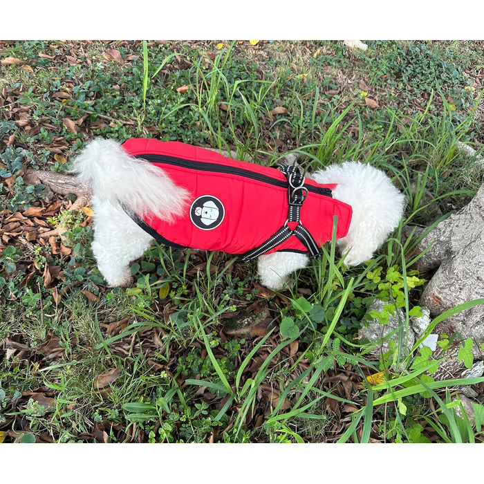 Водонепроникна тепла куртка для собак на шлейку, зимовий одяг для малих, середніх та великих собак, підходить для Лабрадорів, Чихуахуа, Французьких бульдогів, Зелений (XS (1-2кг), Червоний)