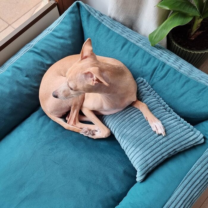 М'яке ліжко для собак та котів 4L Textil Molly, 60x40 см, блакитне (60x40x15 см)