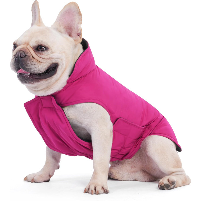 PetWarm Зимовий пуховий жилет для собак, двосторонній, водонепроникний, для маленьких, середніх та великих собак, справжній пух для максимального тепла та захисту від холоду, розмір Small (упаковка 1)