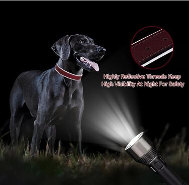 Нашийник для собак з червоної шкіри - якісний, м'який, з відбиваючими елементами та золотистою блискавкою для собак малих, середніх та великих порід