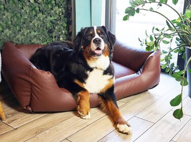 Водонепроникне ліжко для собак 4L Textil Mario з штучної шкіри, корзина для собак, ліжко для великих і середніх собак, собаче ліжко XXL (120x90 см, Коричневе)