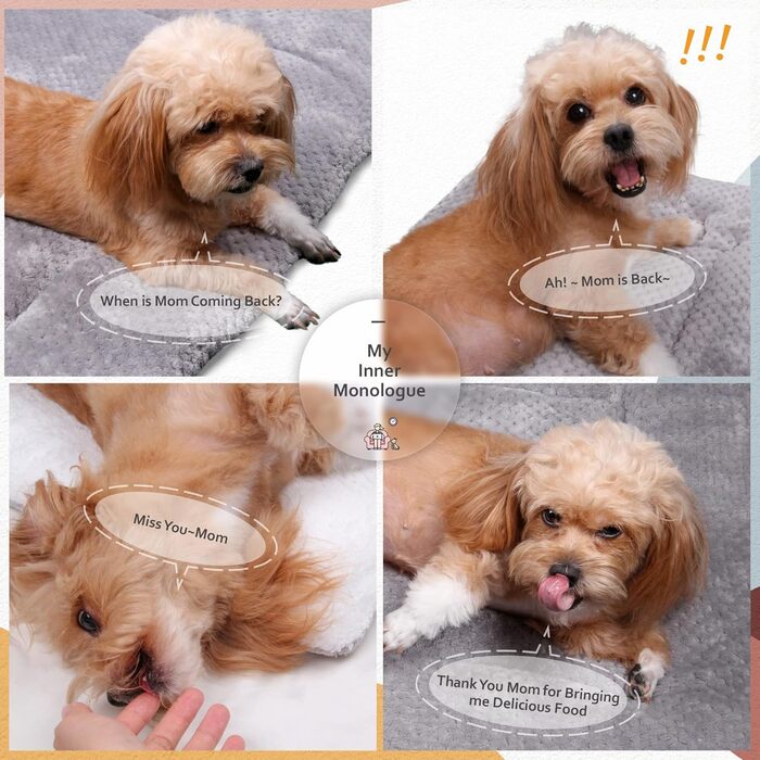 Килимок для собак та котів, 60x80 см, сірий - м'який, дихаючий, машинного прання