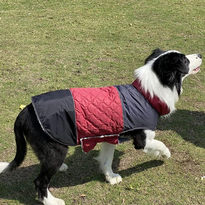 Водонепроникний зимовий теплий одяг для собак - зимовий теплий одяг для маленьких та середніх собак (коричневий, червоний, XXL)