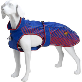 колір: fc барселона