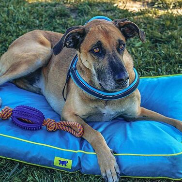 Ортопедичний лежак для собак та котів FERPLAST Polo - блакитний, 80x50x8 см, M, знімний наповнювач, миється, стійкий до подряпин