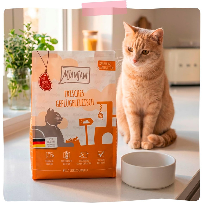 Сухий корм для котів-котят MjAMjAM Premium з птицею, беззерновий, 1.5 кг