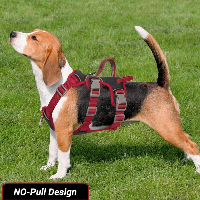 Шлейка для собак LiebeDD, шлейка безпеки для собак, анти-вислизаюча, з м'якою підкладкою, 2 ручки та 2 кліпси для повідка, проти-тягової, для собак середніх та маленьких порід, цуценят (Чорний, S)